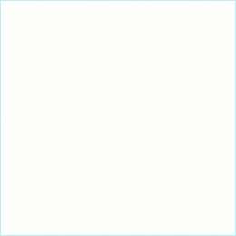 ЛДСП 16 мм Белый супер Р СФЗ (5,03)